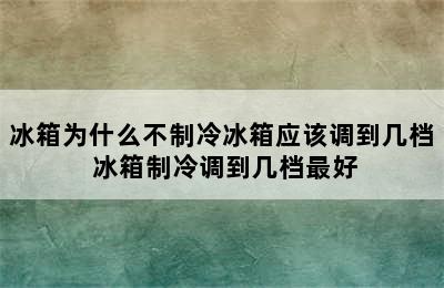 冰箱为什么不制冷冰箱应该调到几档 冰箱制冷调到几档最好